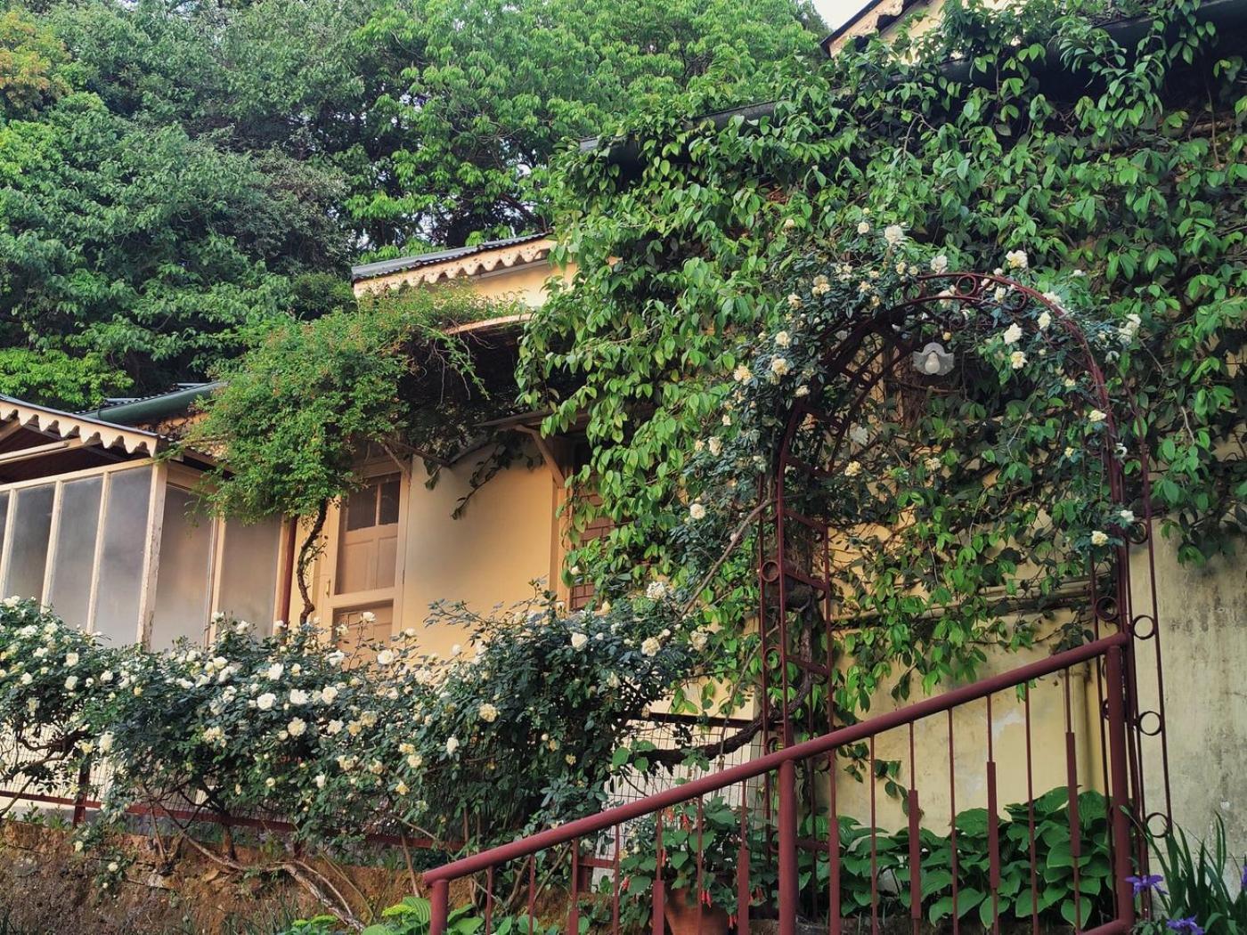Hotel Padmini Nivas Mussoorie Exterior foto
